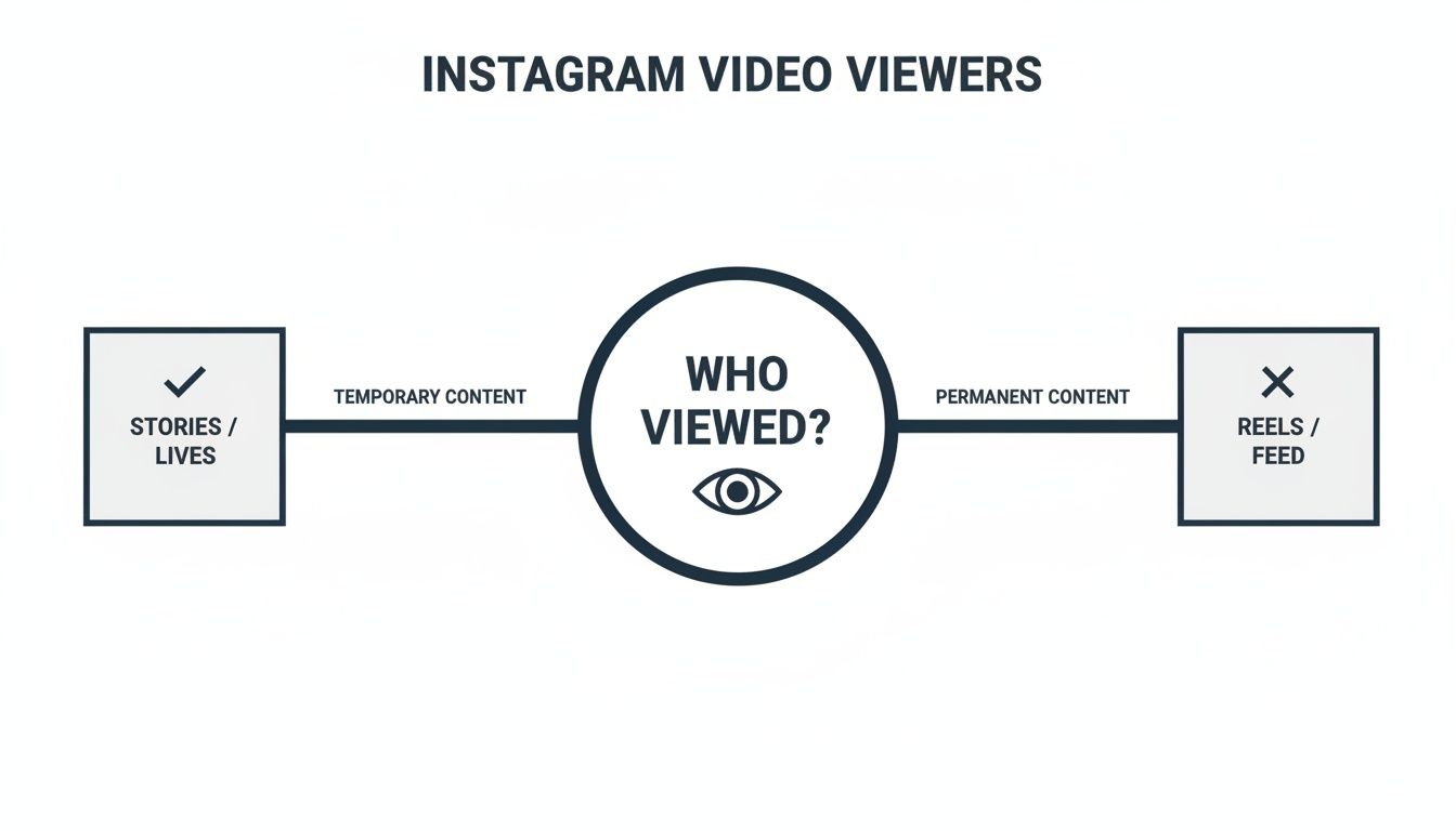 A diagram illustrating Instagram video viewer visibility for temporary content (stories/lives) and permanent content (reels/feed).