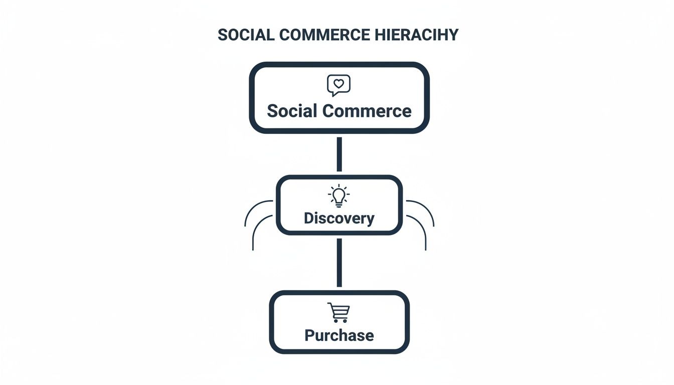 Diagram illustrating the social commerce hierarchy, from social commerce to discovery and then purchase.